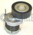 Натяжник паска Audi/Seat/Skoda/Vw 1.9SDI/1.9TDI/2.0TDI 99- RUVILLE 541106 (фото 1)