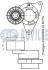 Натяжник паска приводного Nissan/Renault 2.2dCi-2.5dCi 03- RUVILLE 541800 (фото 2)