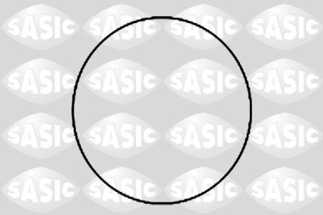Кольцо уплотнительное гильзы цилиндра SASIC 1120780
