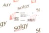 Рычаг подвески Solgy 204129 (фото 3)