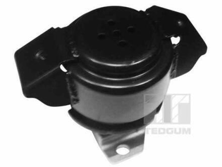 Кріплення двигуна TEDGUM 00725583