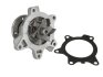 Насос охолоджуючої рідини THERMOTEC D12093TT (фото 2)