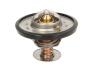 Термостат THERMOTEC D2CA001TT (фото 1)