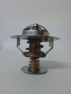 Термостат, охолоджувальна рідина THERMOTEC D2CA002TT