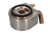 Охолоджувач оливи, моторна олива THERMOTEC D4AG012TT (фото 2)
