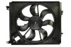 Вентилятор, система охолодження двигуна THERMOTEC D8R020TT (фото 1)