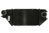 Впускний охолоджувач повітря THERMOTEC DA4002TT (фото 1)
