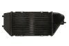 Впускний охолоджувач повітря THERMOTEC DA4002TT (фото 2)