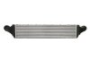 Впускний охолоджувач повітря THERMOTEC DAA032TT (фото 2)