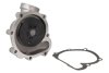 Насос охолоджувальної рідини, охолодження двигуна THERMOTEC WPDZ107 (фото 2)