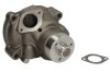 Насос охолоджувальної рідини, охолодження двигуна THERMOTEC WPFO104 (фото 1)