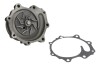Насос охолоджувальної рідини, охолодження двигуна THERMOTEC WPNH010 (фото 1)
