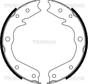 Комплект гальмівних колодок, Стоянкове гальмо TRISCAN 810024002