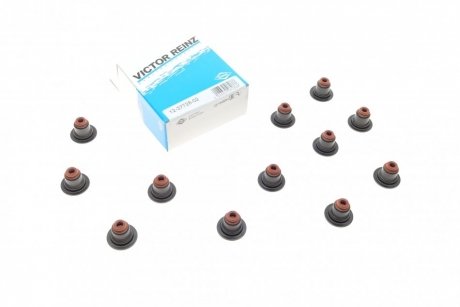 Комплект сальників клапанів VICTOR REINZ 12-37728-02