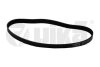 Ремінь поліклінової 6PK906 Skoda Octavia I (1U2) (96-10)/VW Golf IV (1J1) (97-05),Bora (98-05) Vika 19030599301 (фото 1)